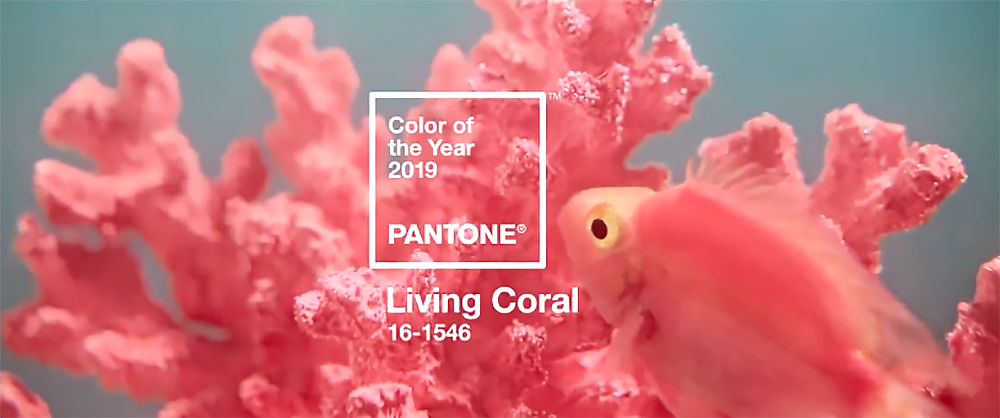 Tema-Galerie-Pantone-Living-Coral